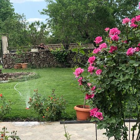 Bed and Breakfast Chez Yvette Garni Esterno foto